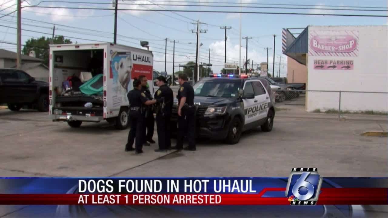 Reports 11 dogs found dead in Uhaul YouTube