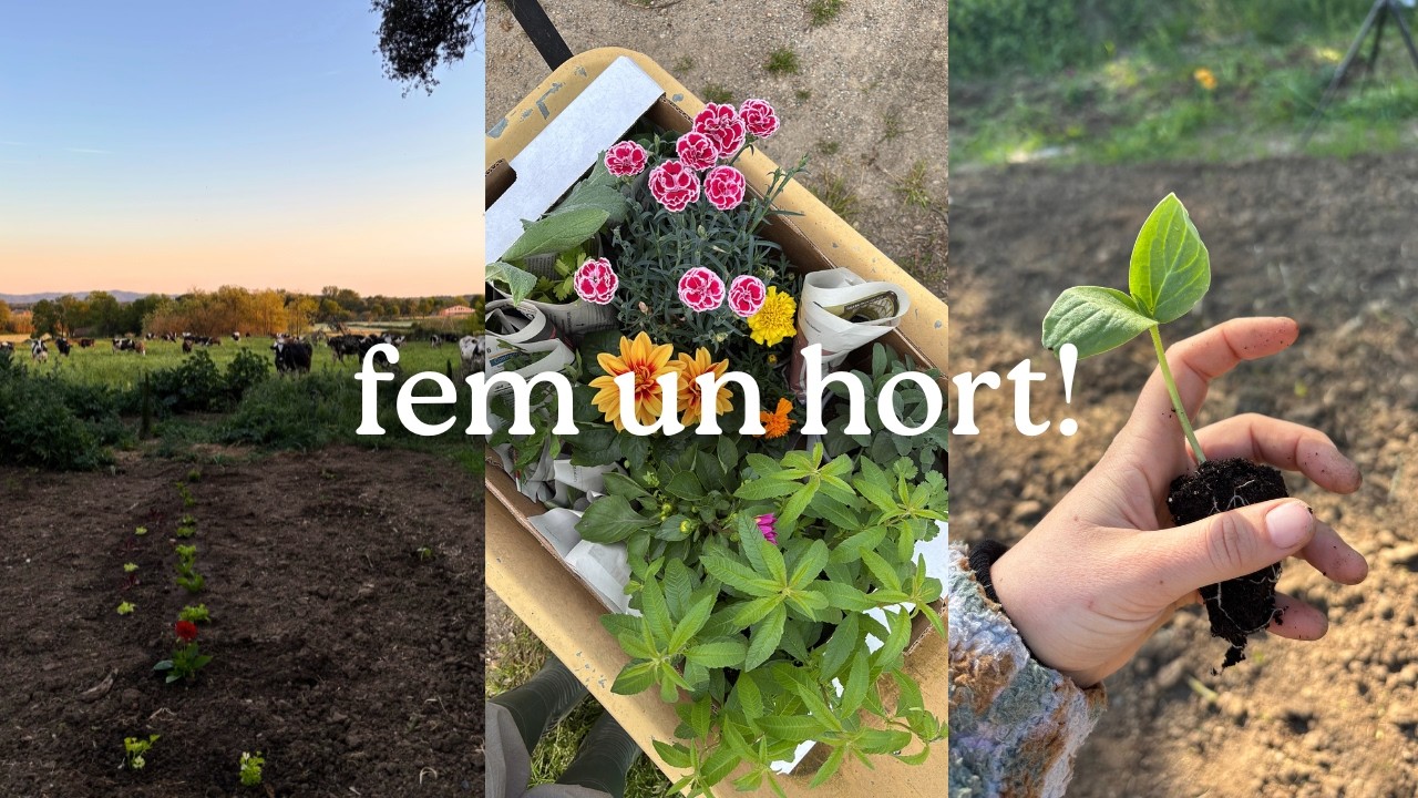 Comencem un hort des de zero a la granja👩🏻🌾
