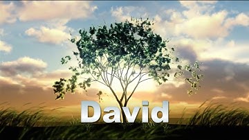 Jesse Tree Story 15 DAVID