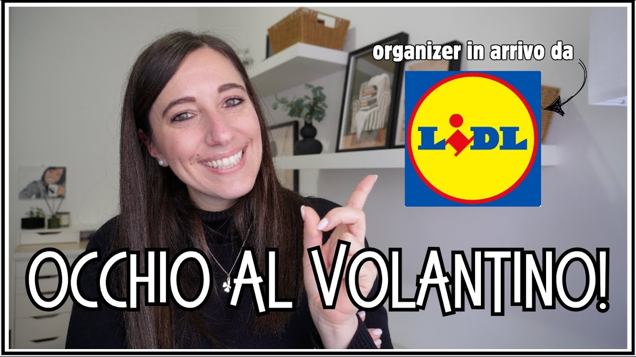 OCCHIO AL VOLANTINO! 👀 Organizer in arrivo da LIDL 🛒