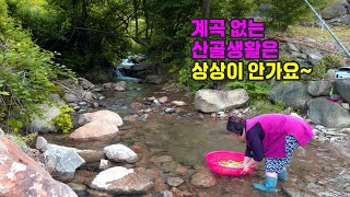 Plant flowers! Cooking! Farming and living in the mountains are all you need to do in 9 years~