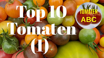 Welche tomatensorte ist die leckerste?