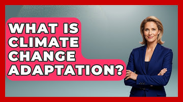 What Is Climate Change Adaptation? - Weather Watchdog
