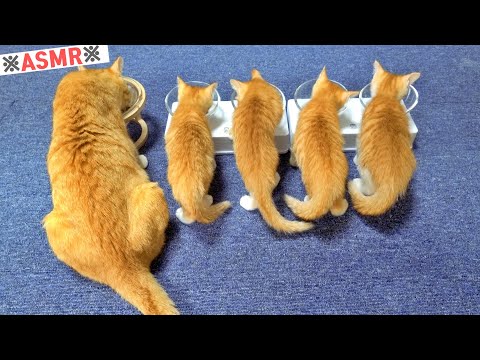 챱챱챱챱 챱챱챱 | yum yum yum yum