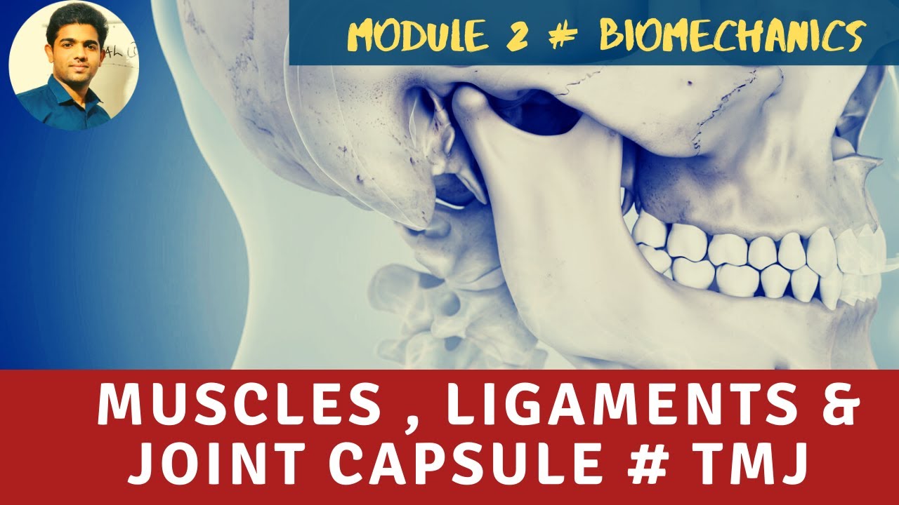 MUSCLES, LIGAMENTS & JOINT CAPSULE 