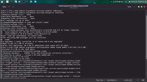 Install snapd plugin in Debian 11 using terminal.
