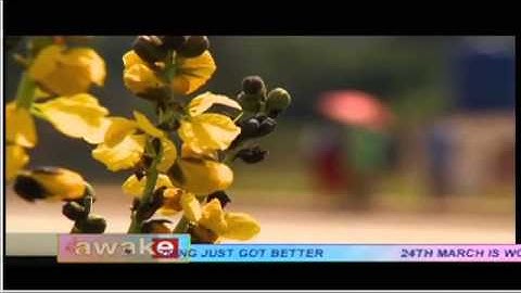 e.TV Ghana Reports on TB Control Efforts in Swaziland