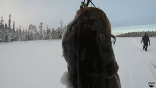 Рыбалка на щуку.КАПКАНЫ.Рыба которая улыбается.ЭКСТРЕННЫЙ ПОХОД С ФАНАРИКОМ.ЧАСТЬ 3