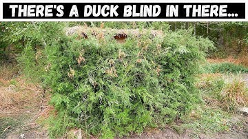 Building A Duck Blind | Part 2