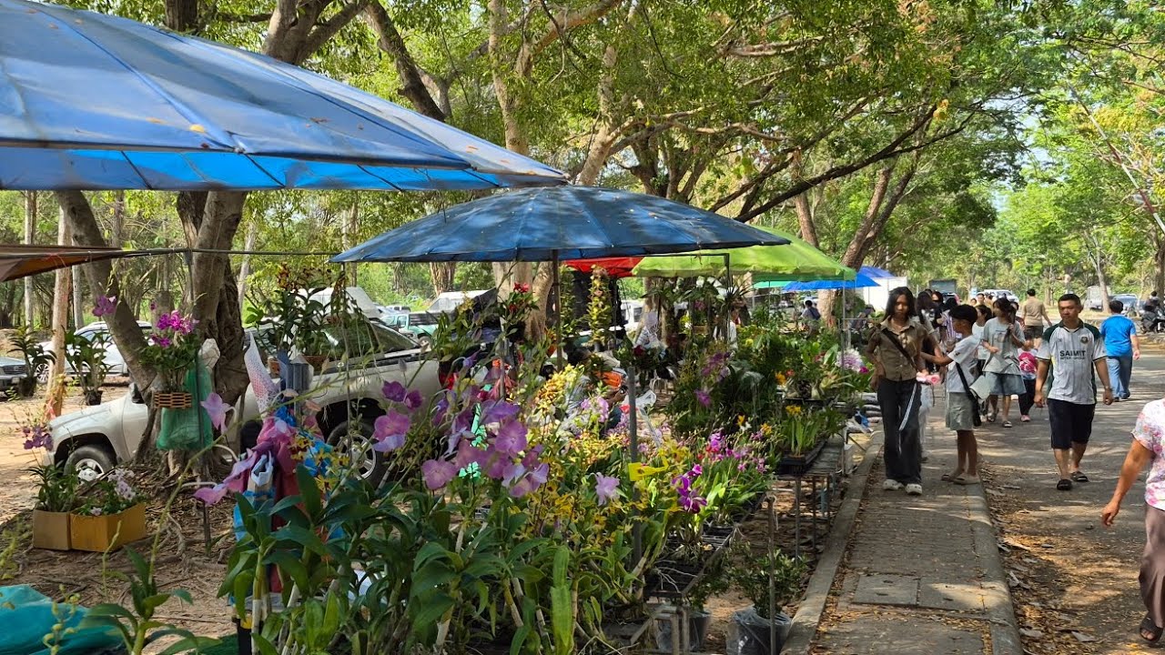 เดินตลาดนัดวันหยุด นักขัตฤกษ์ รพสิริกิติ์