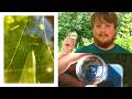 $9 DIY Macro Lens for Smartphones