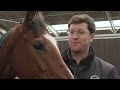 Ascot Asks...Harry Fry