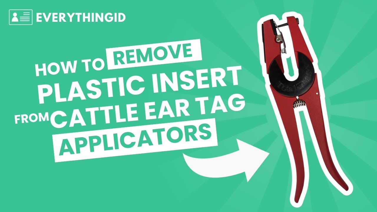 how-to-remove-the-plastic-insert-from-cattle-ear-tag-applicators-youtube