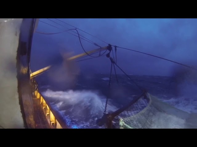 Video 3/3 Last drag of the shrimp beam trawl! 