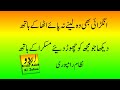 Love poetry in urdu romantic 2 line  romantic ghazal  urdu adab