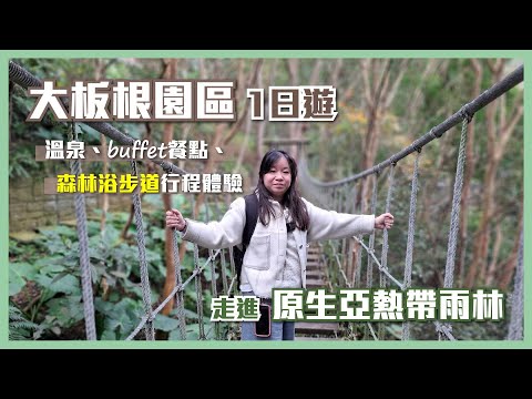 【大板根森林溫泉酒店】隱藏版亞熱帶雨林秘境｜溫泉＋吃到飽＋森林步道｜冬季必訪