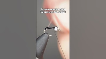 Zebra Midge | Fly Tying Tutorial