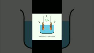 Electrolysis Of Copper Sulfate Animation