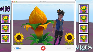 Dragon Tree Island | Setting Sun Flower | Utopia Origin#138