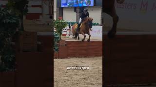 Гран при 110см)) #лошади #верховая_езда #кони #конкур #конныйспорт  #соревнования #конный_спорт