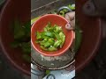 special paneer chilli...😋 #song