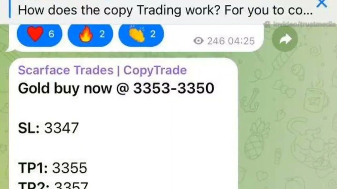 Best Forex Signals Telegram Channel in 2025