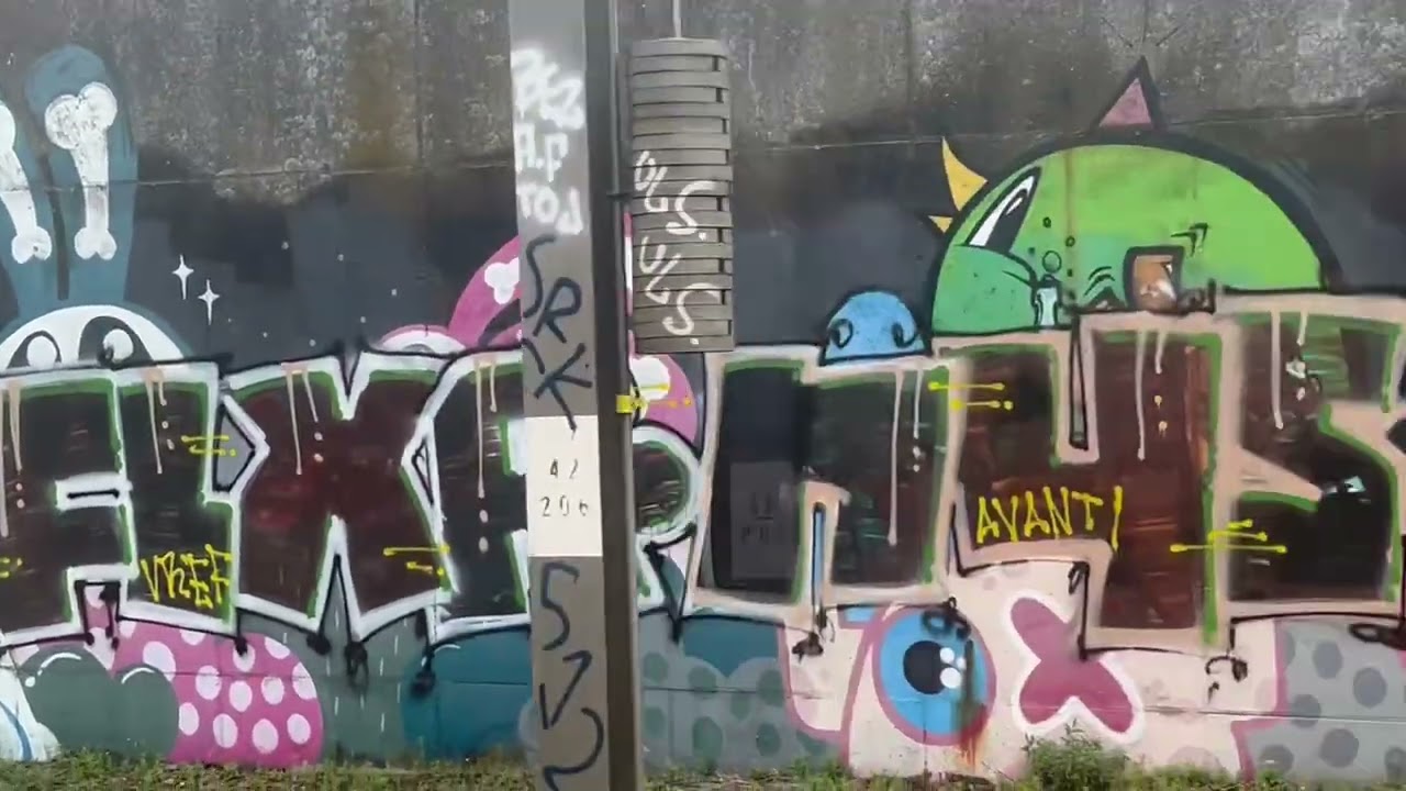 Art or Graffiti on rail line between Amsterdam and Paris 