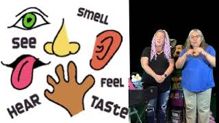 ASL The Senses