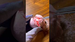 Pepximan Str2026 No.107