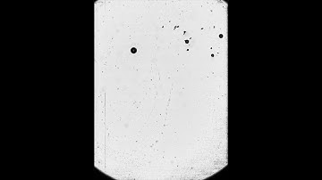 Janus Particles Movement