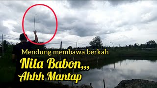 Berkah mendung dan gerimis. Nila Mujaernya Jos Kotos kotos