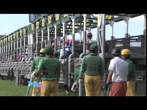 【ロードカナロア】2013年_第63回 安田記念
