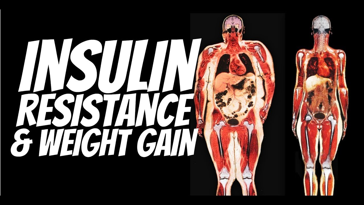 Insulin resistance and weight gain gauge girl training youtube