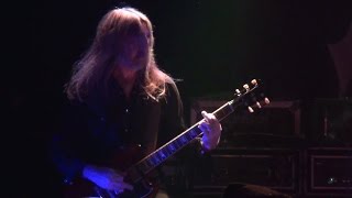 Orchid - John the Tiger