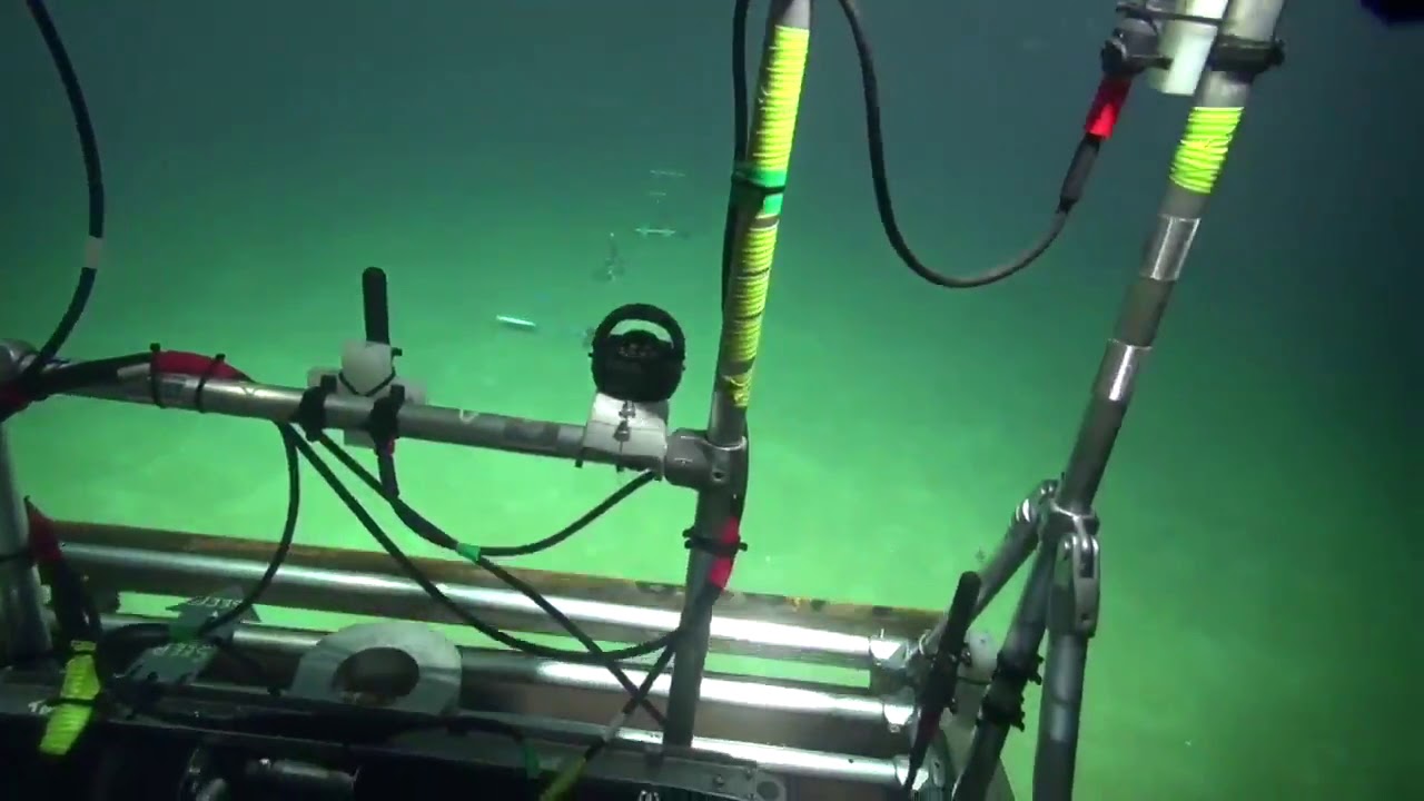 The STEMM-CCS  Hydrophone Wall