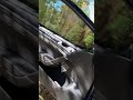 MK7 GTI Cold Start, APR Downpipe, APR Exhaust Tips
