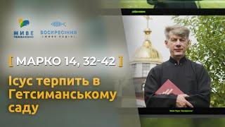 Ісус терпить в Гетсиманському саду. Марко 14, 32-42 | о. Євген Станішевський