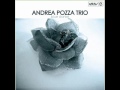 Andrea Pozza Trio - Sem Palavras (DejaVu Records)