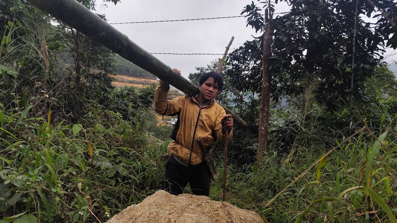 Mù vào rừng sâu lấy cây vầu về nhà vót đúa  ll vượt khó tây bắc 