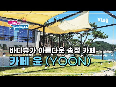 송정 카페 윤 | 바다뷰가 아름다운 대형 카페 (Cafe Yoon)