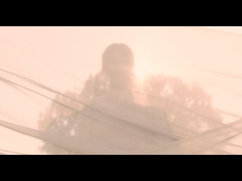 Lori Triplett - Hollow White Oak - Official Music Video