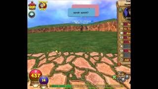 wizard101~ random collab 1