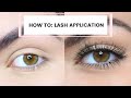 Updated 2020: How To Apply Fake Lashes With Trichotillomania | BEETABEAUTY