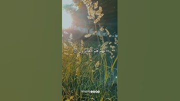 ﴿ اني جزيتهم اليوم بما صبروا انهم هم الفائزون ﴾ سورة المؤمنون