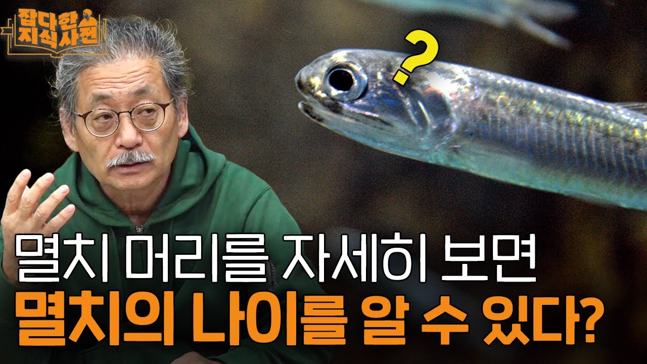 🐟머릿속에 블랙박스가 있는 멸치의 신비 / 고등어 등이 푸른 이유