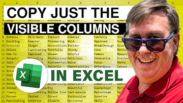 Excel - How to Copy Only The Visible Columns - 2682