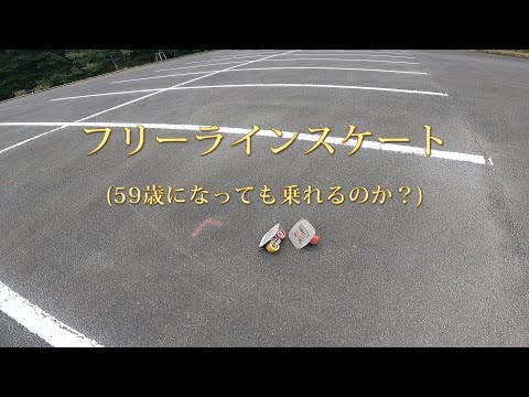 フリーラインスケート　交渉可能 フリーライン スケート」の人気商品一覧 | 安い商品を通販サイト