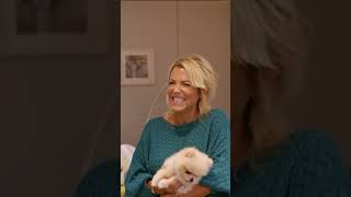 The Most Spoiled Dog in Britain??