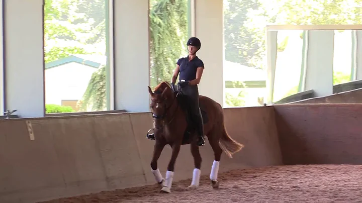 Charles de Kunffy Clinic at Team Tate Dressage