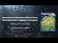 Nanoscale Zero-Valent Iron (nZVI) for Heavy Metal Wastewater Treatment: A Perspective